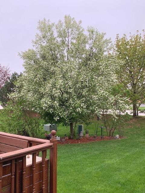 1909 Arbor Gate Ct, Plainfield, IL 60586 photo 25