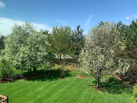 1909 Arbor Gate Ct, Plainfield, IL 60586 photo 26