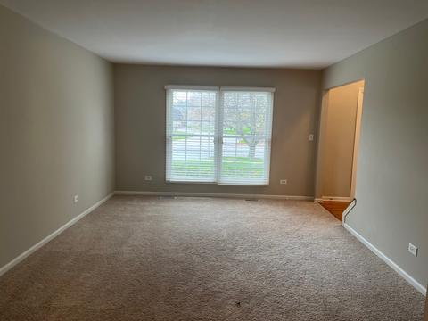 24228 Eagle Chase Ct, Plainfield, IL 60544 photo 4