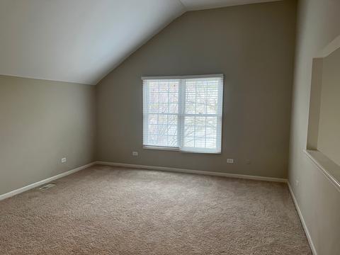 24228 Eagle Chase Ct, Plainfield, IL 60544 photo 27