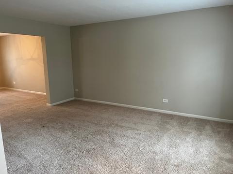 24228 Eagle Chase Ct, Plainfield, IL 60544 photo 3