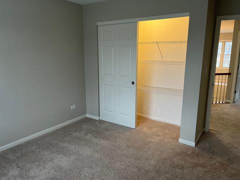 24228 Eagle Chase Ct, Plainfield, IL 60544 photo 24