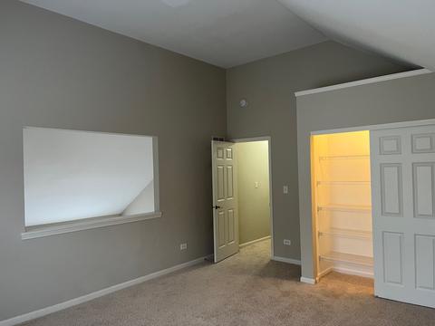 24228 Eagle Chase Ct, Plainfield, IL 60544 photo 28