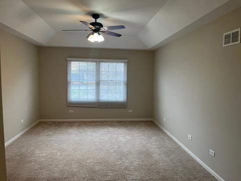 24228 Eagle Chase Ct, Plainfield, IL 60544 photo 16