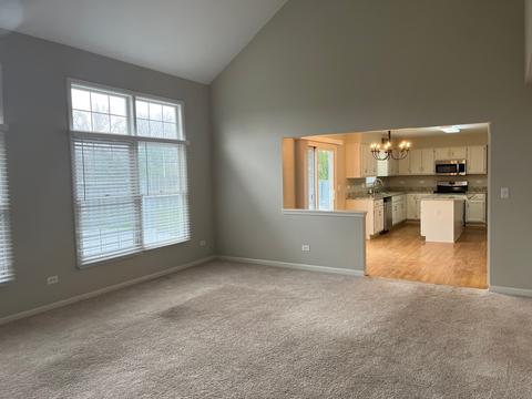 24228 Eagle Chase Ct, Plainfield, IL 60544 photo 12