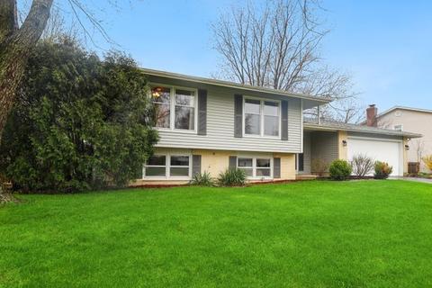 4120 Dixon Dr, Hoffman Estates, IL 60192 photo 2