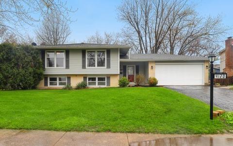 4120 Dixon Dr, Hoffman Estates, IL 60192 photo 1