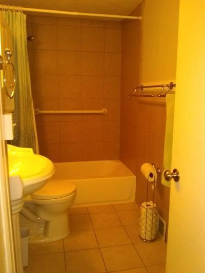 204 N Gary Ave, Wheaton, IL 60187 photo 25