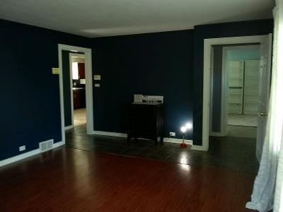 204 N Gary Ave, Wheaton, IL 60187 photo 16