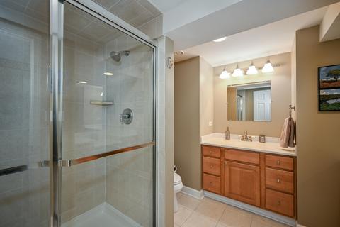 1471 Pebblestone Cv, Wheaton, IL 60189 photo 22