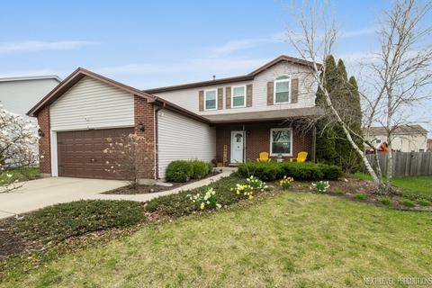 1218 Brookfield Dr, Plainfield, IL 60586 photo 1