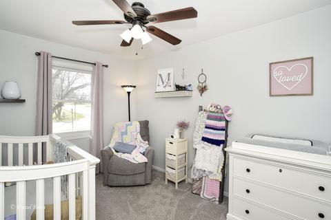 3218 W Beach Dr, Mchenry, IL 60050 photo 7