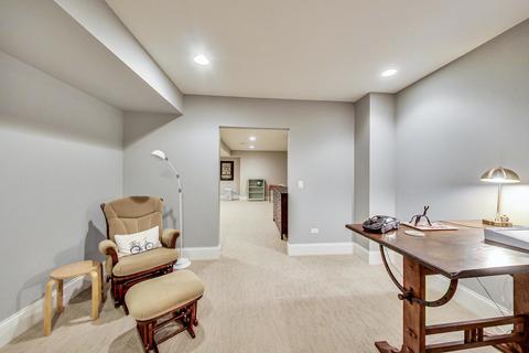 664 E Porter Ave, Naperville, IL 60540 photo 30