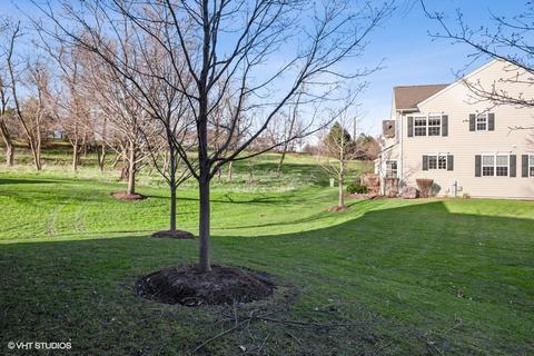 1107 Pine Valley Ct, Elgin, IL 60124 photo 29