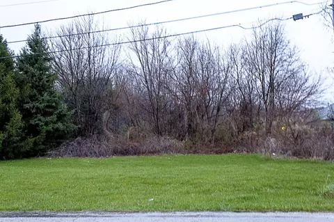 418 N English St, Braidwood, IL 60408