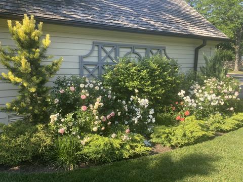 460 Berkeley Ave, Winnetka, IL 60093 photo 29