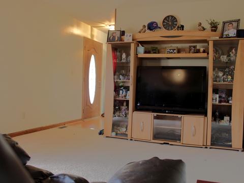 768 W 3rd St, Braidwood, IL 60408 photo 6
