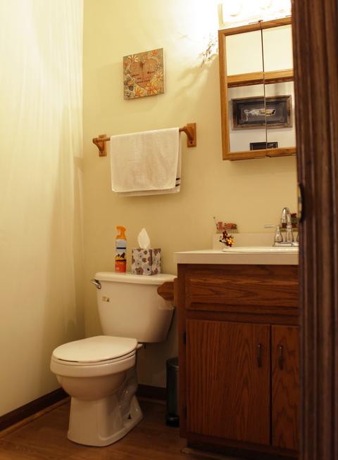 768 W 3rd St, Braidwood, IL 60408 photo 4