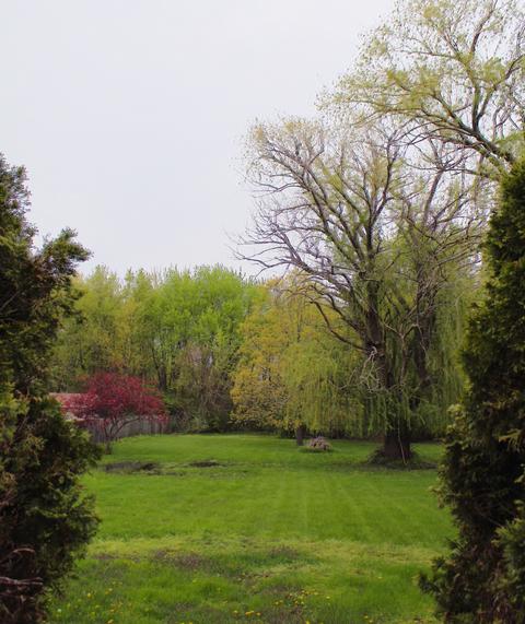 768 W 3rd St, Braidwood, IL 60408 photo 26