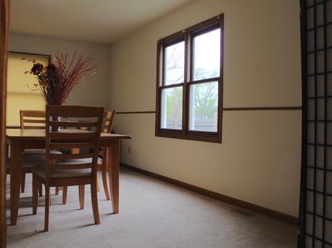 768 W 3rd St, Braidwood, IL 60408 photo 8