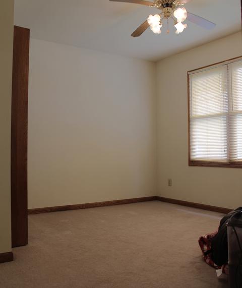 768 W 3rd St, Braidwood, IL 60408 photo 21