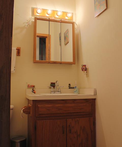 768 W 3rd St, Braidwood, IL 60408 photo 5