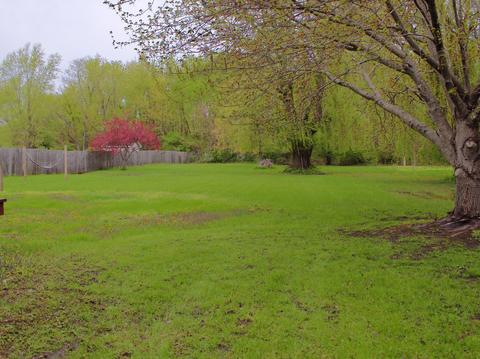 768 W 3rd St, Braidwood, IL 60408 photo 27