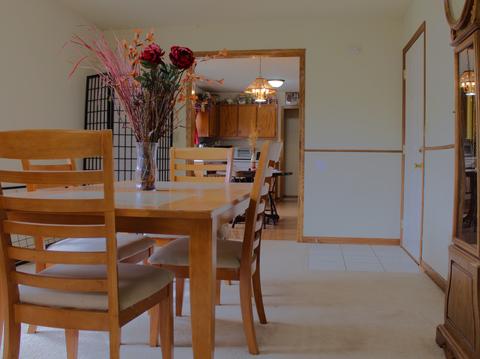768 W 3rd St, Braidwood, IL 60408 photo 9