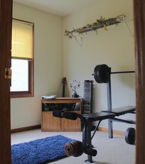 768 W 3rd St, Braidwood, IL 60408 photo 13