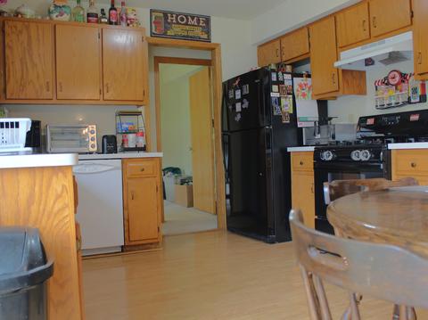 768 W 3rd St, Braidwood, IL 60408 photo 11