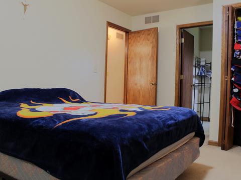 768 W 3rd St, Braidwood, IL 60408 photo 20