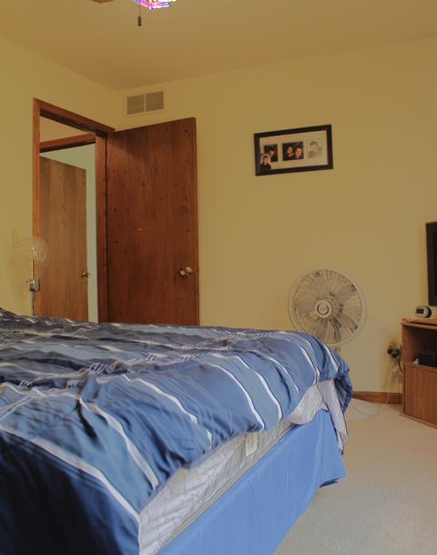 768 W 3rd St, Braidwood, IL 60408 photo 23