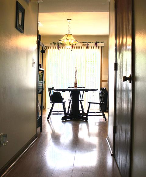 768 W 3rd St, Braidwood, IL 60408 photo 3