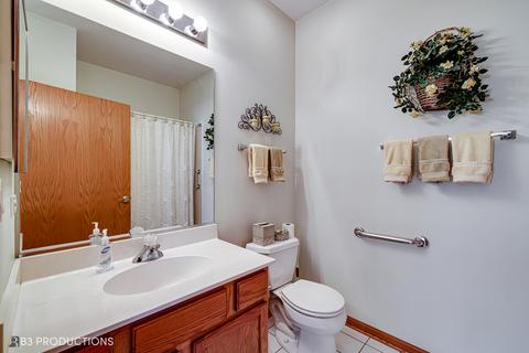 21509 W Juniper Ct, Plainfield, IL 60544 photo 12