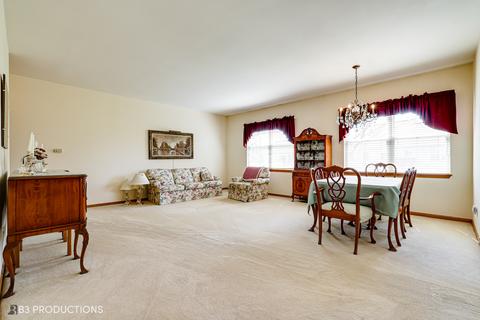 21509 W Juniper Ct, Plainfield, IL 60544 photo 8