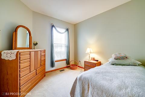 21509 W Juniper Ct, Plainfield, IL 60544 photo 13