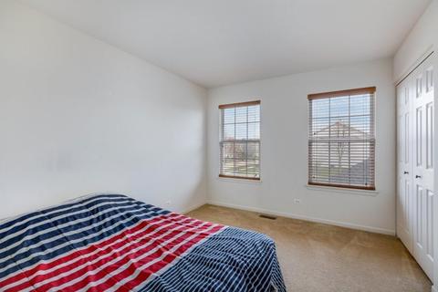 315 Schmidt St, Plano, IL 60545 photo 28
