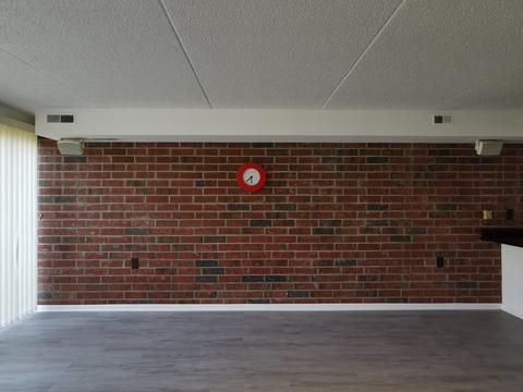 126 E 32nd St, Chicago, IL 60616 photo 5