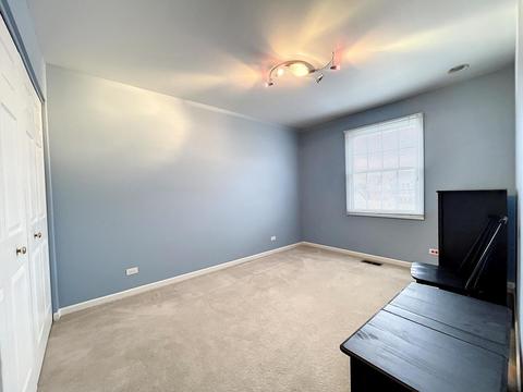 529 Flora Dr, Algonquin, IL 60102 photo 20
