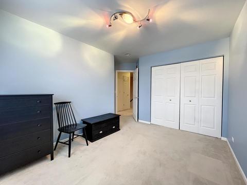 529 Flora Dr, Algonquin, IL 60102 photo 19