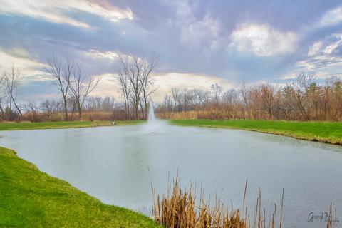 31662 Tall Grass Ct, Lakemoor, IL 60051 photo 26