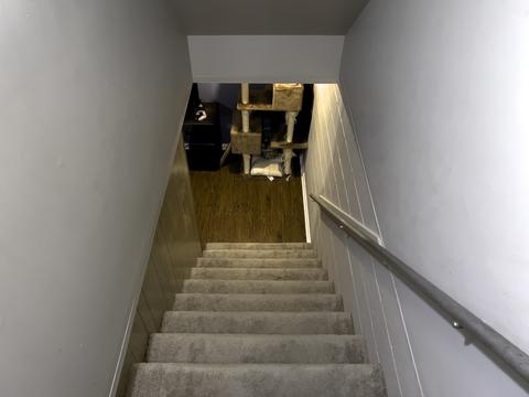613 E 3rd St #2, Lockport, IL 60441 photo 34