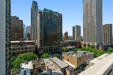 33 E Cedar St #8F, Chicago, IL 60611 photo 18