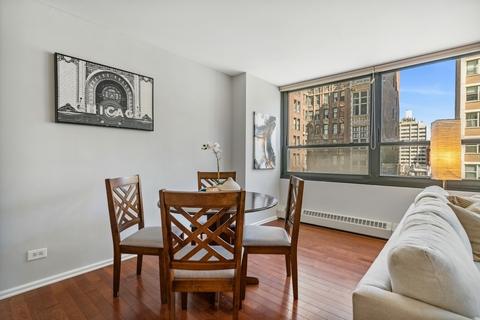 33 E Cedar St #8F, Chicago, IL 60611 photo 11