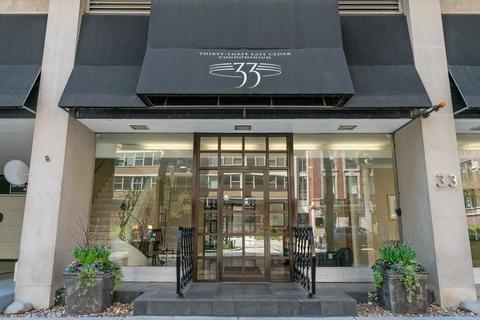 33 E Cedar St #8F, Chicago, IL 60611 photo 22