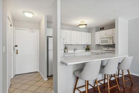 33 E Cedar St #8F, Chicago, IL 60611 photo 6