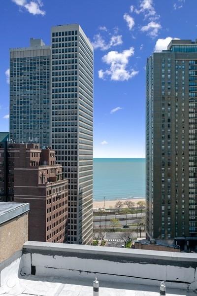 33 E Cedar St #8F, Chicago, IL 60611 photo 16