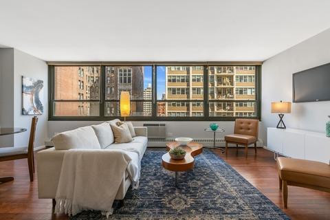 33 E Cedar St #8F, Chicago, IL 60611 photo 4