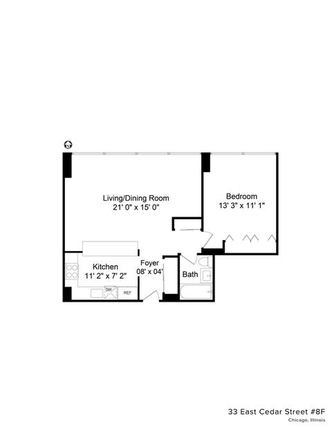 33 E Cedar St #8F, Chicago, IL 60611 photo 23
