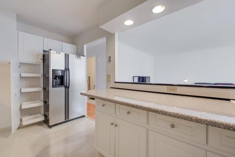 40 E Cedar St #12C, Chicago, IL 60611 photo 6
